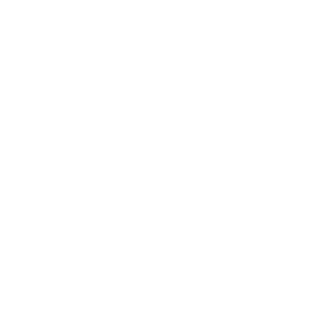 Mizuno